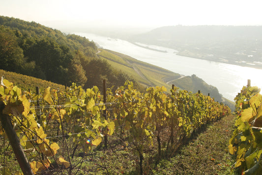 August Kesseler: Pioneer of German Pinot Noir