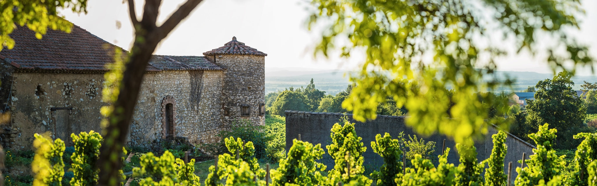 Châteauneuf-du-Pape & Gigondas: Rhône Crus from Famille Perrin