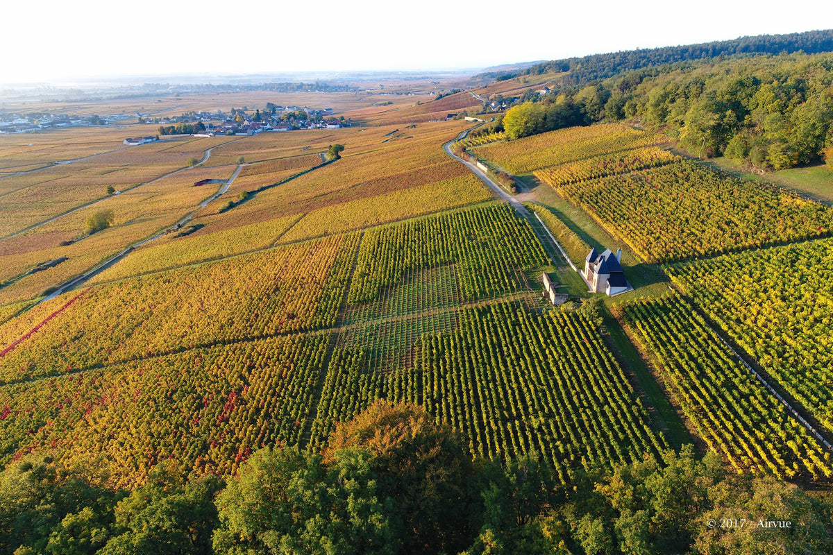One Grand Cru, Ten Vintages: Domaine Ponsot's Clos de la Roche