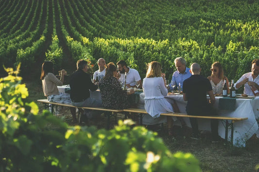 Tasting Terroir: J. de Villebois's Sancerre and Pouilly-Fumé