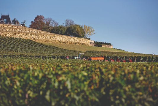 Château La Gaffelière 2018–2021: Four Exceptional Vintages