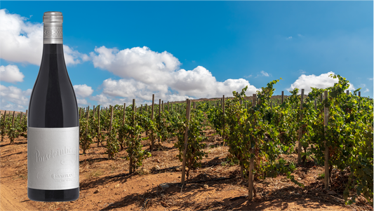 Porseleinberg Syrah, South African Icon