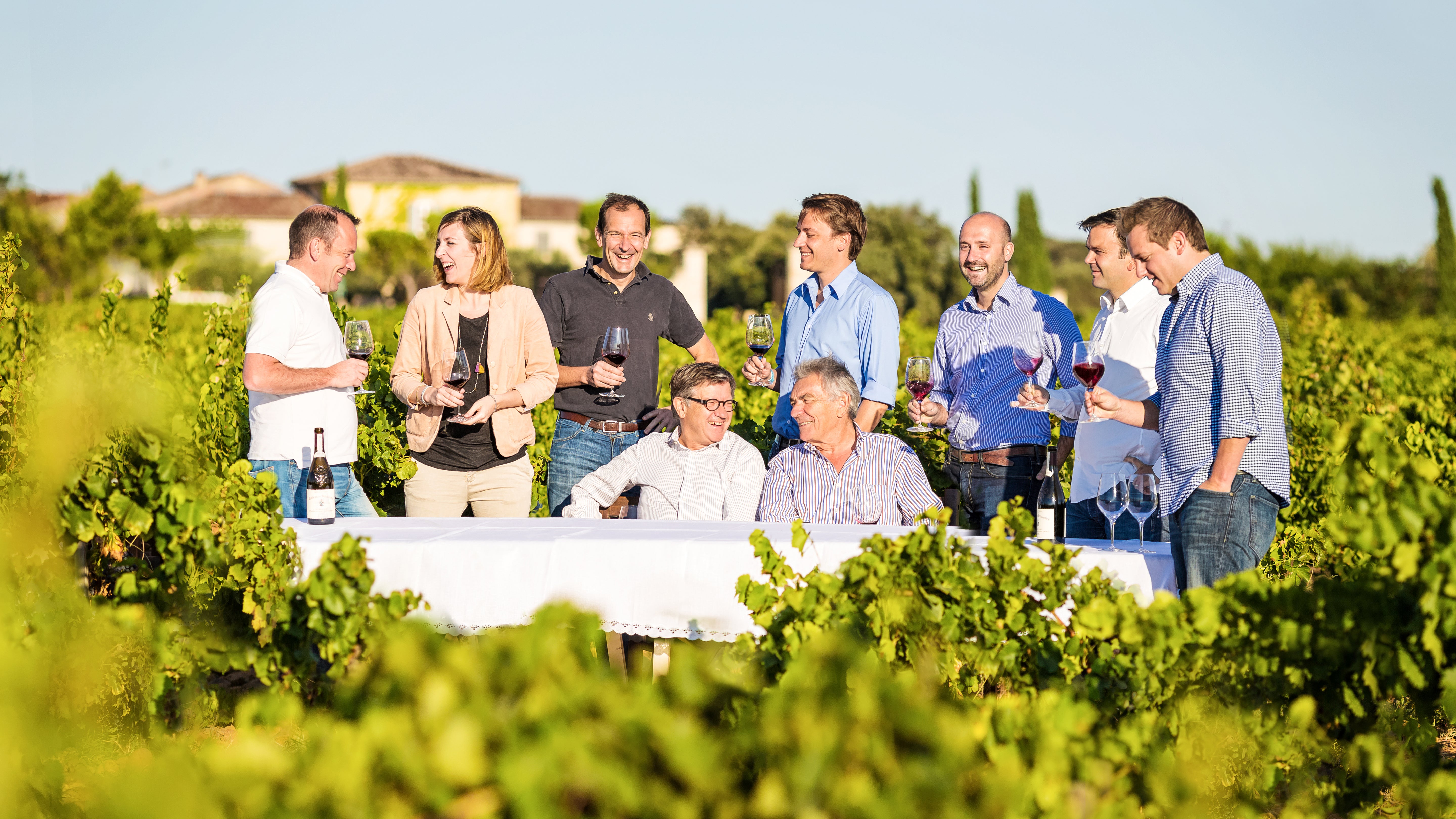 Vineyard Brands Collective