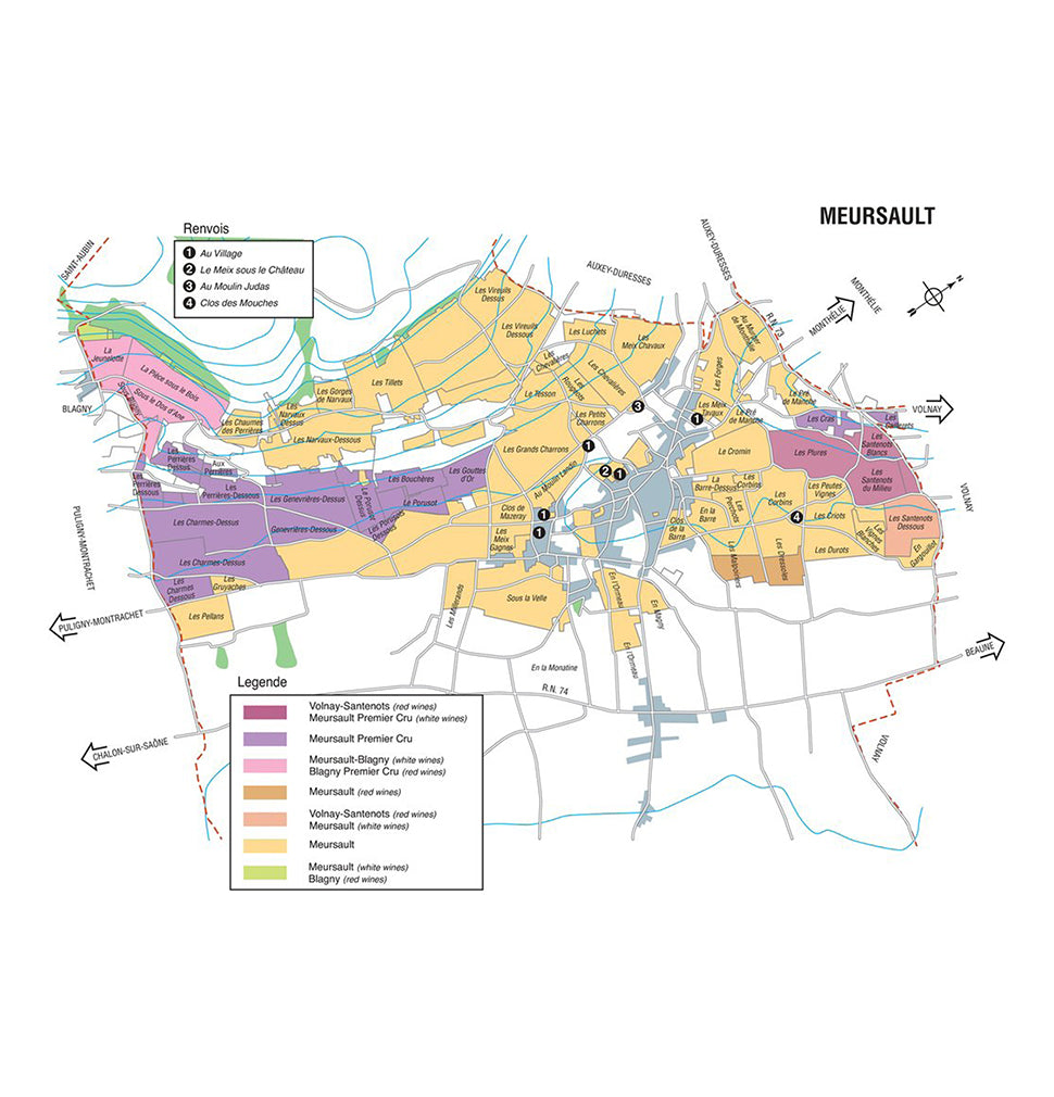 Vineyard Brands Collective