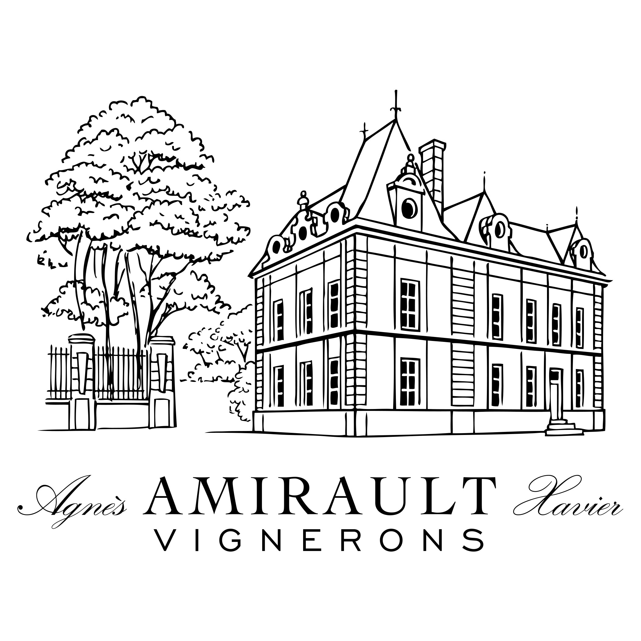 Vineyard Brands Collective