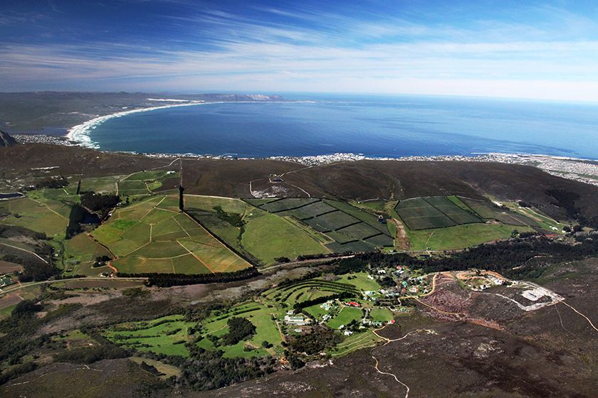 Vineyard Brands Collective