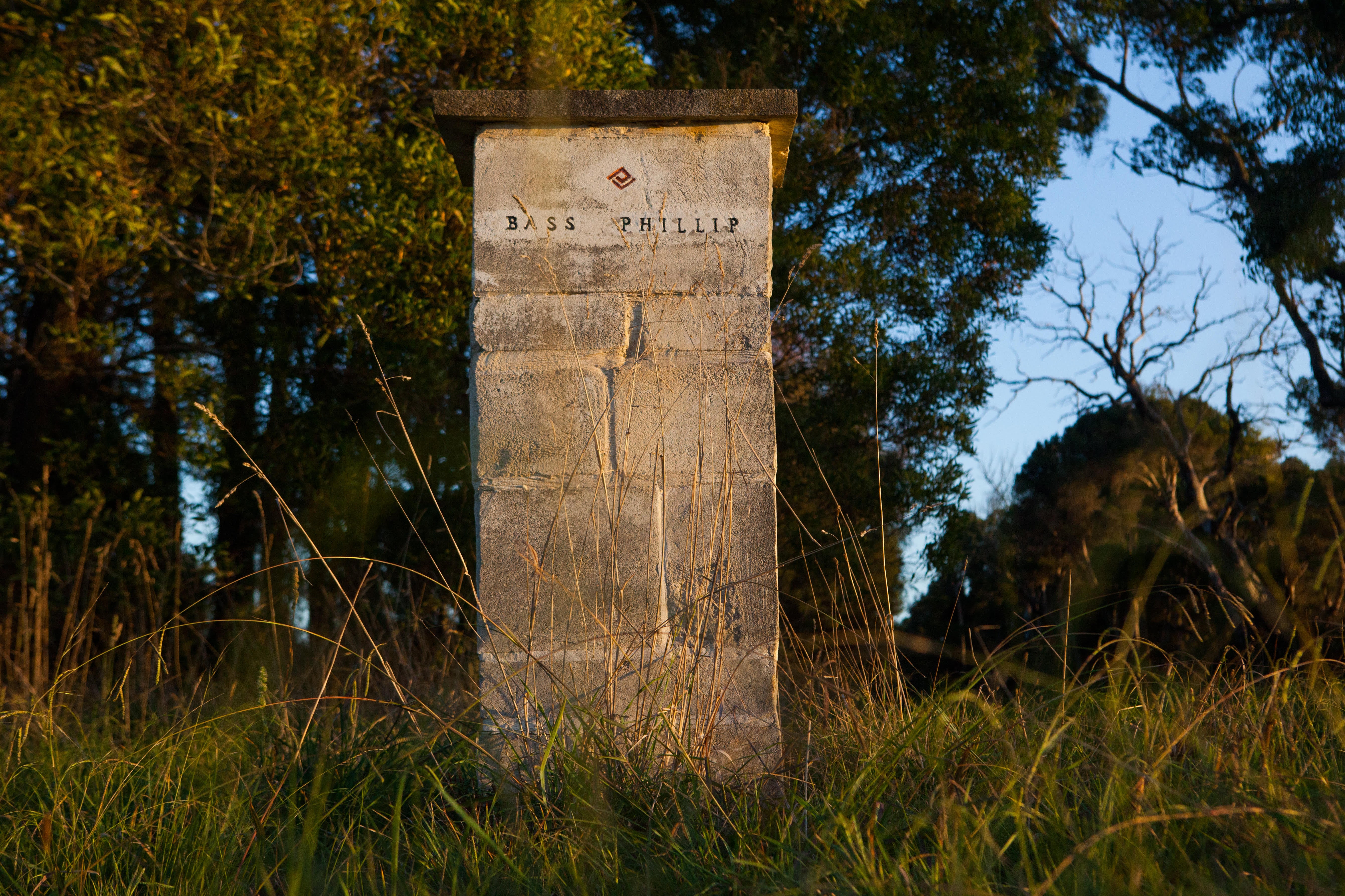 Vineyard Brands Collective