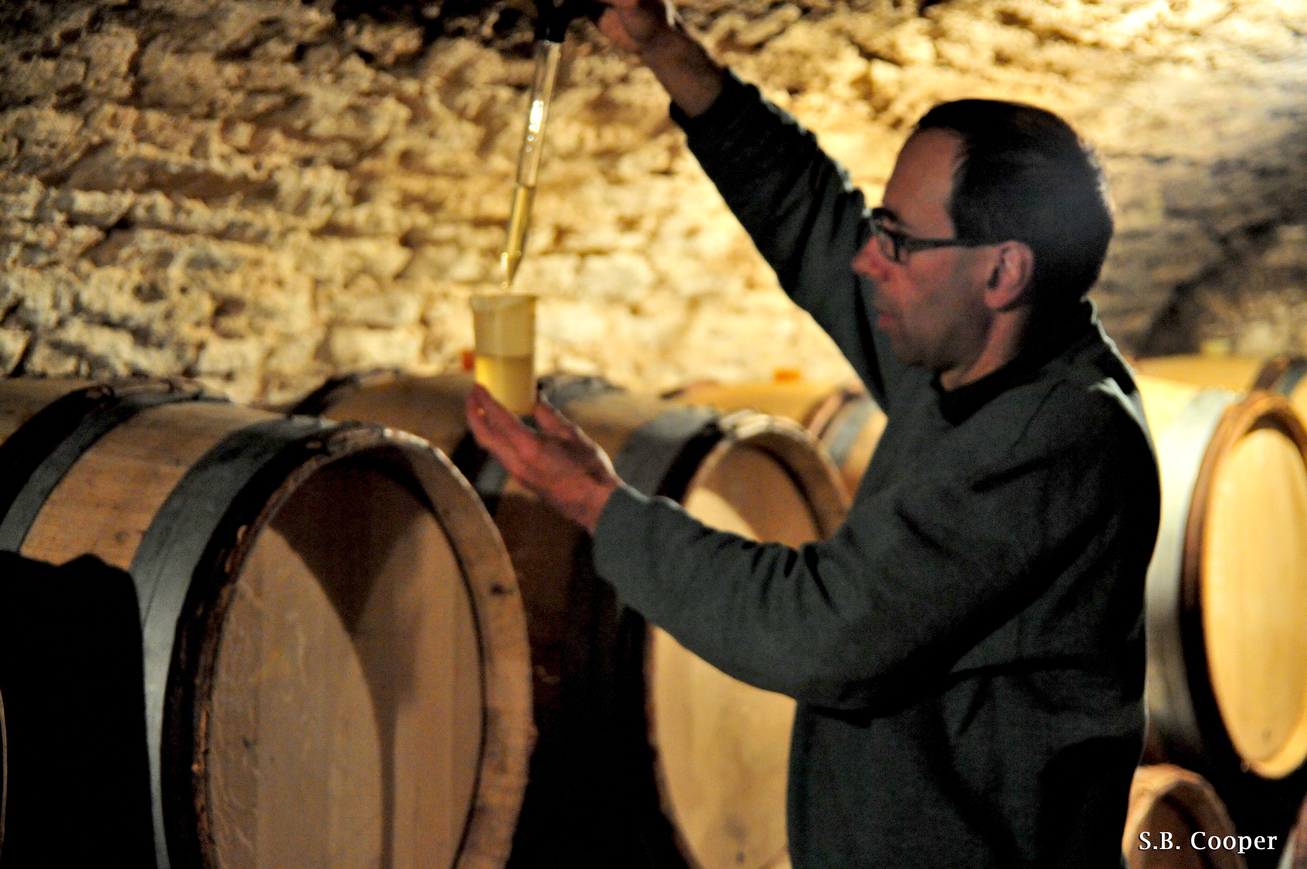 Vineyard Brands Collective