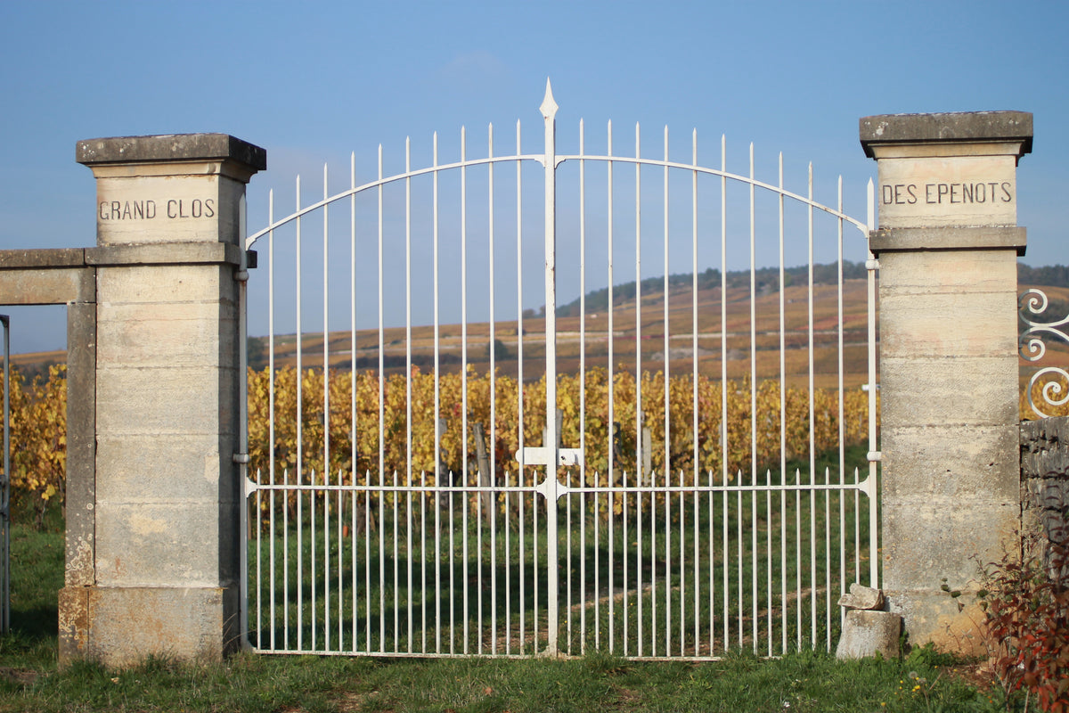 Vineyard Brands Collective