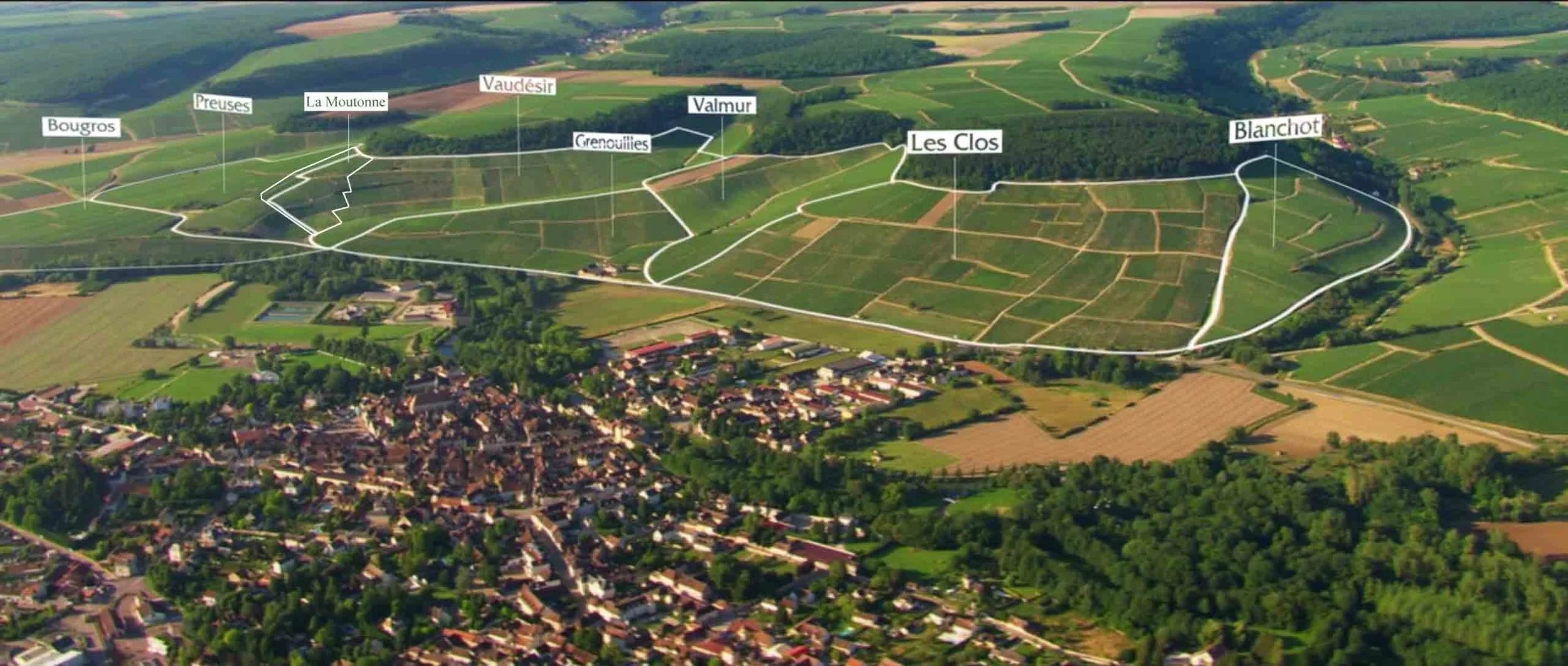 Vineyard Brands Collective