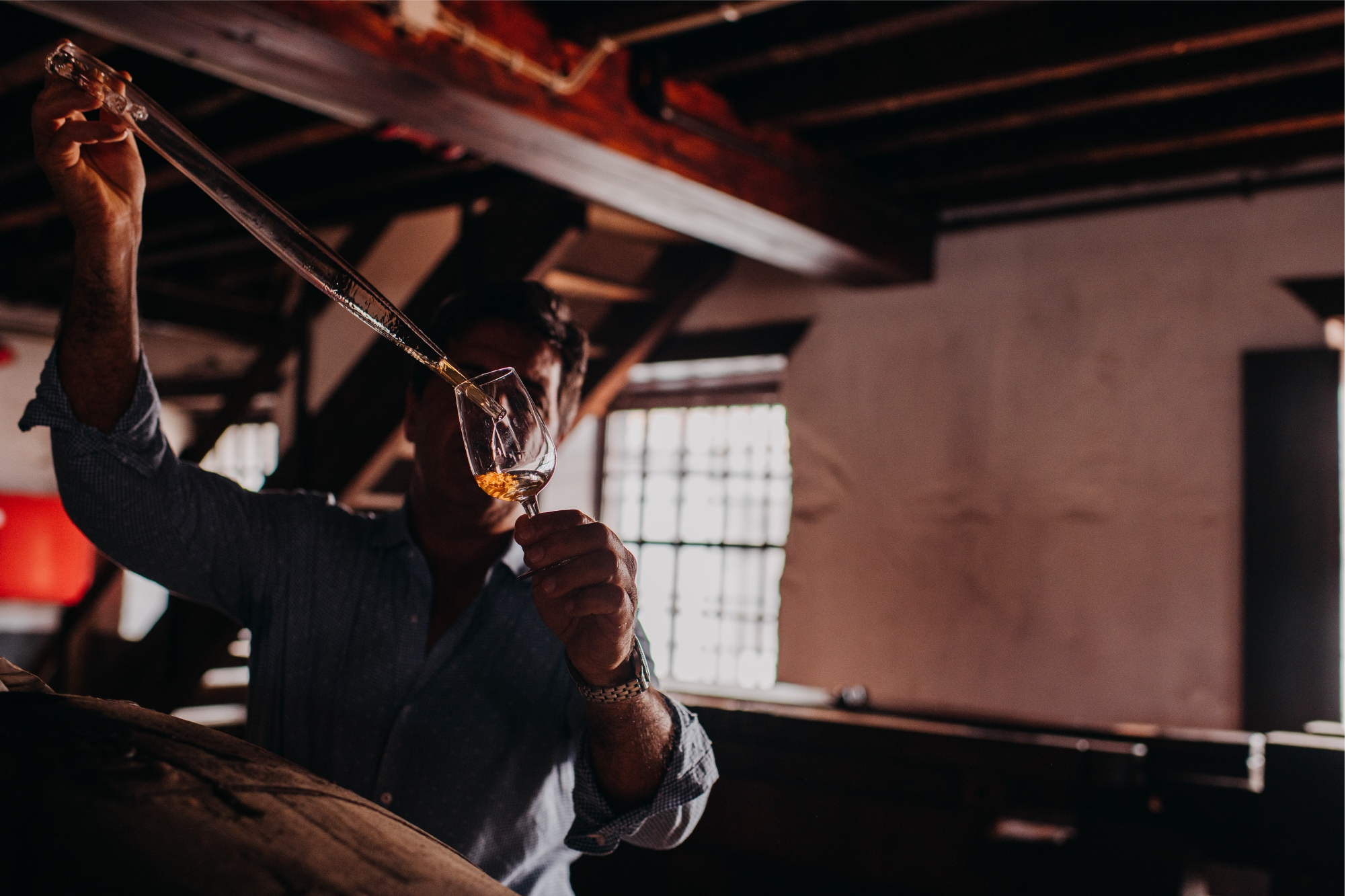 Vineyard Brands Collective