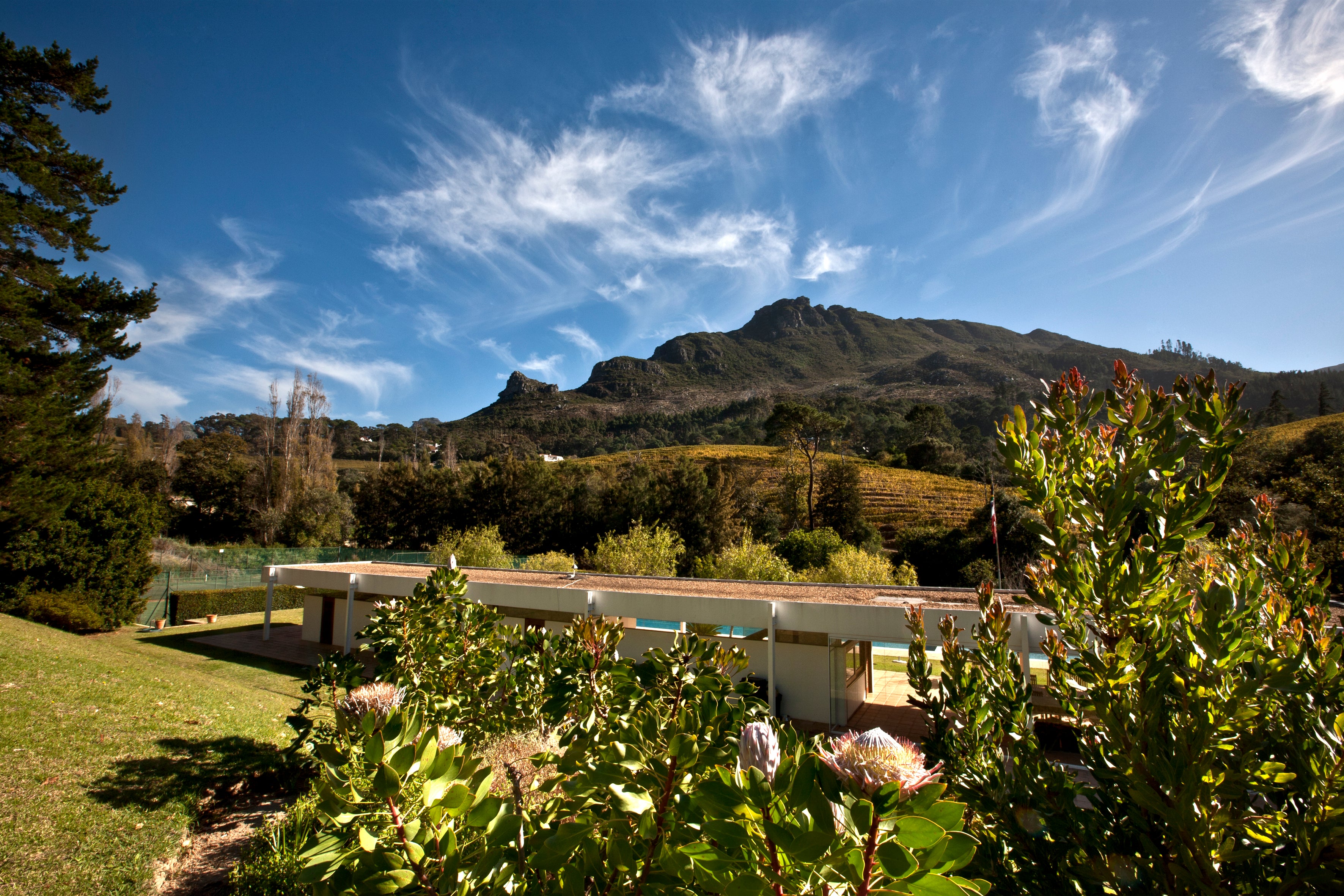 Vineyard Brands Collective