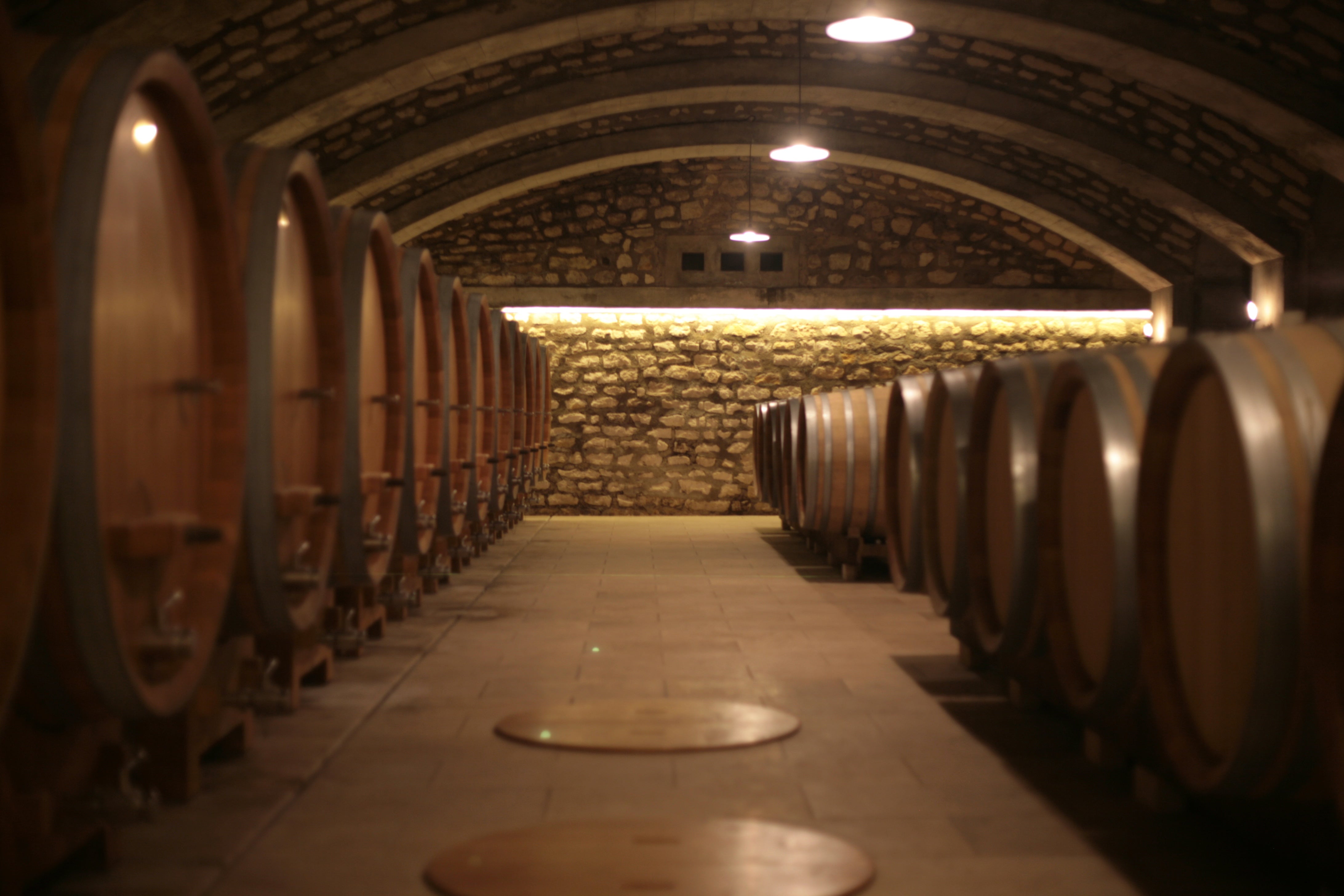 Vineyard Brands Collective