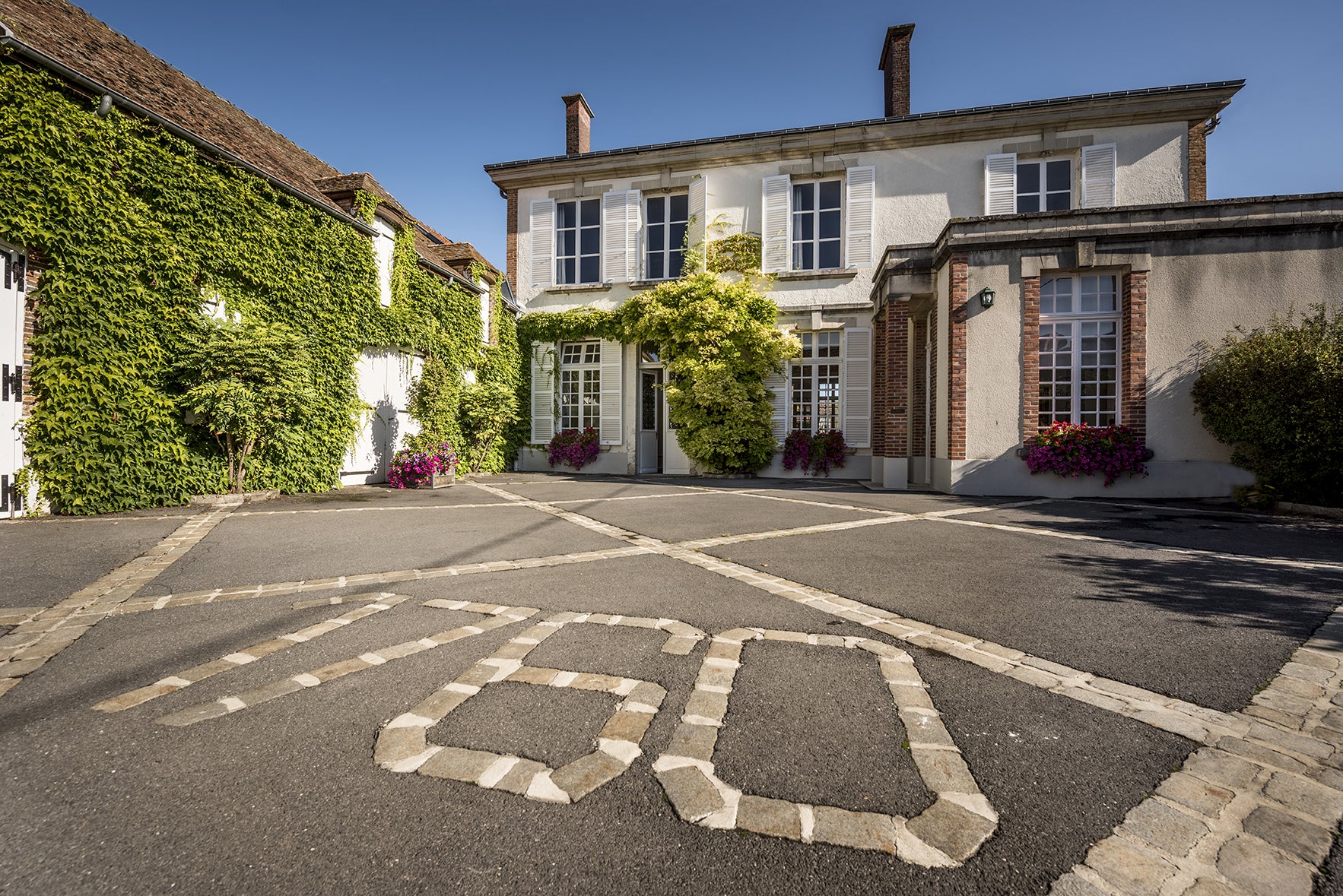 Vineyard Brands Collective