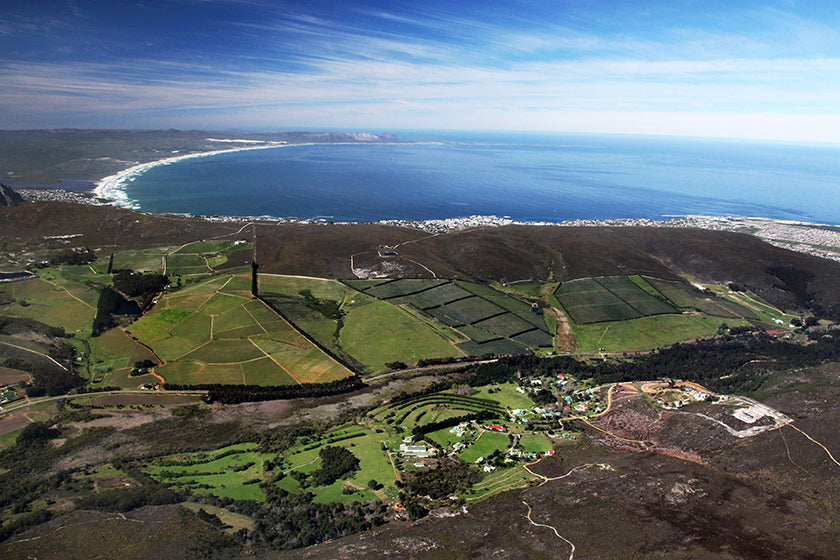 Vineyard Brands Collective