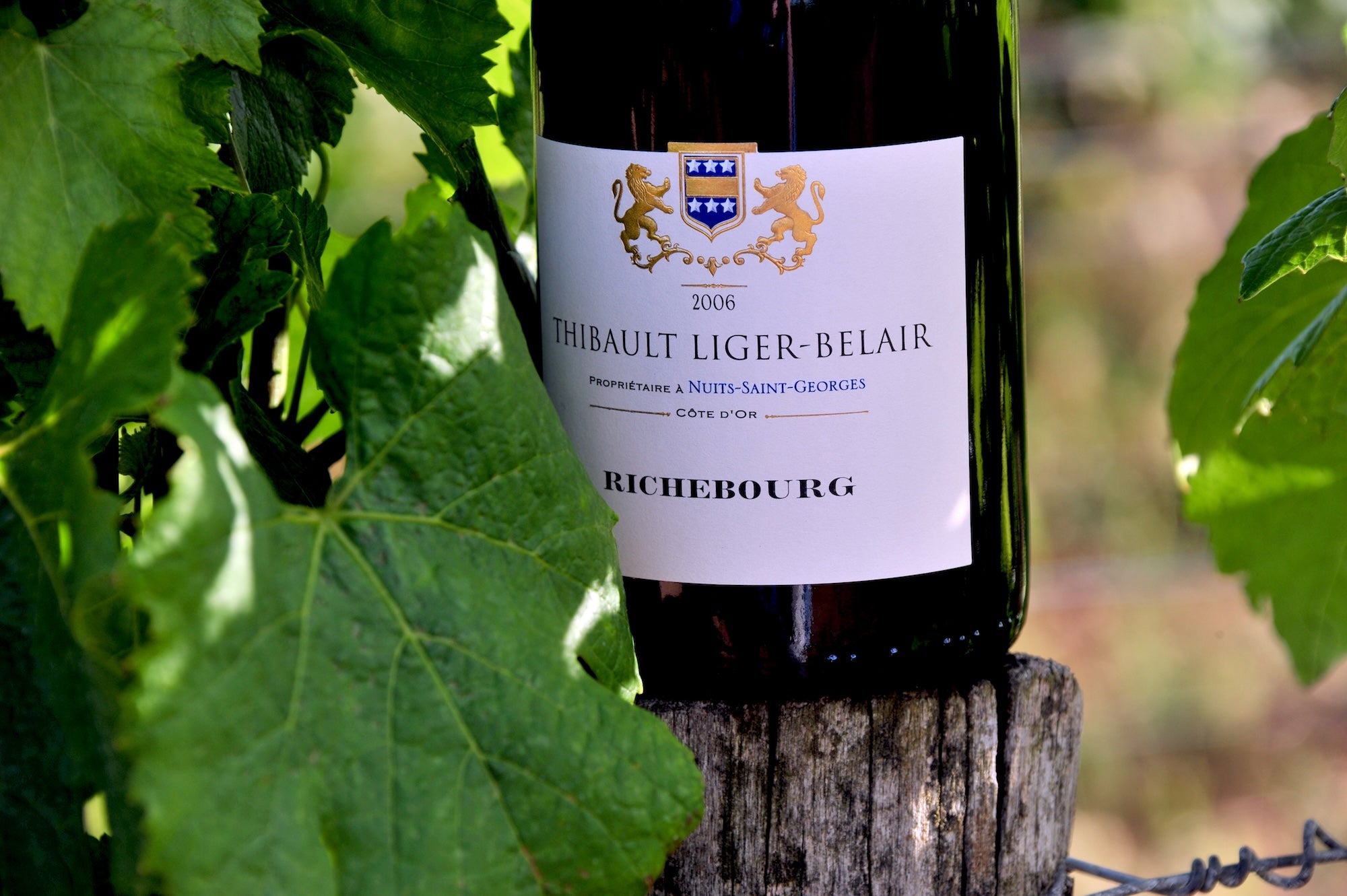 Vineyard Brands Collective