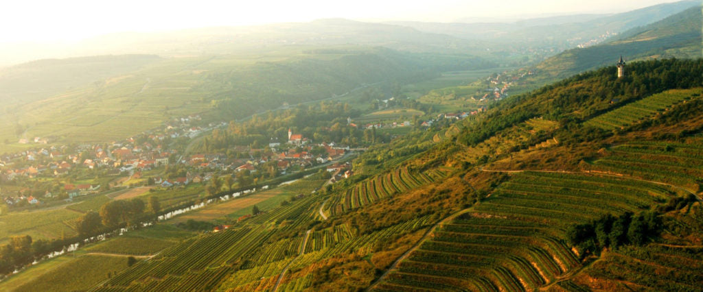 Vineyard Brands Collective