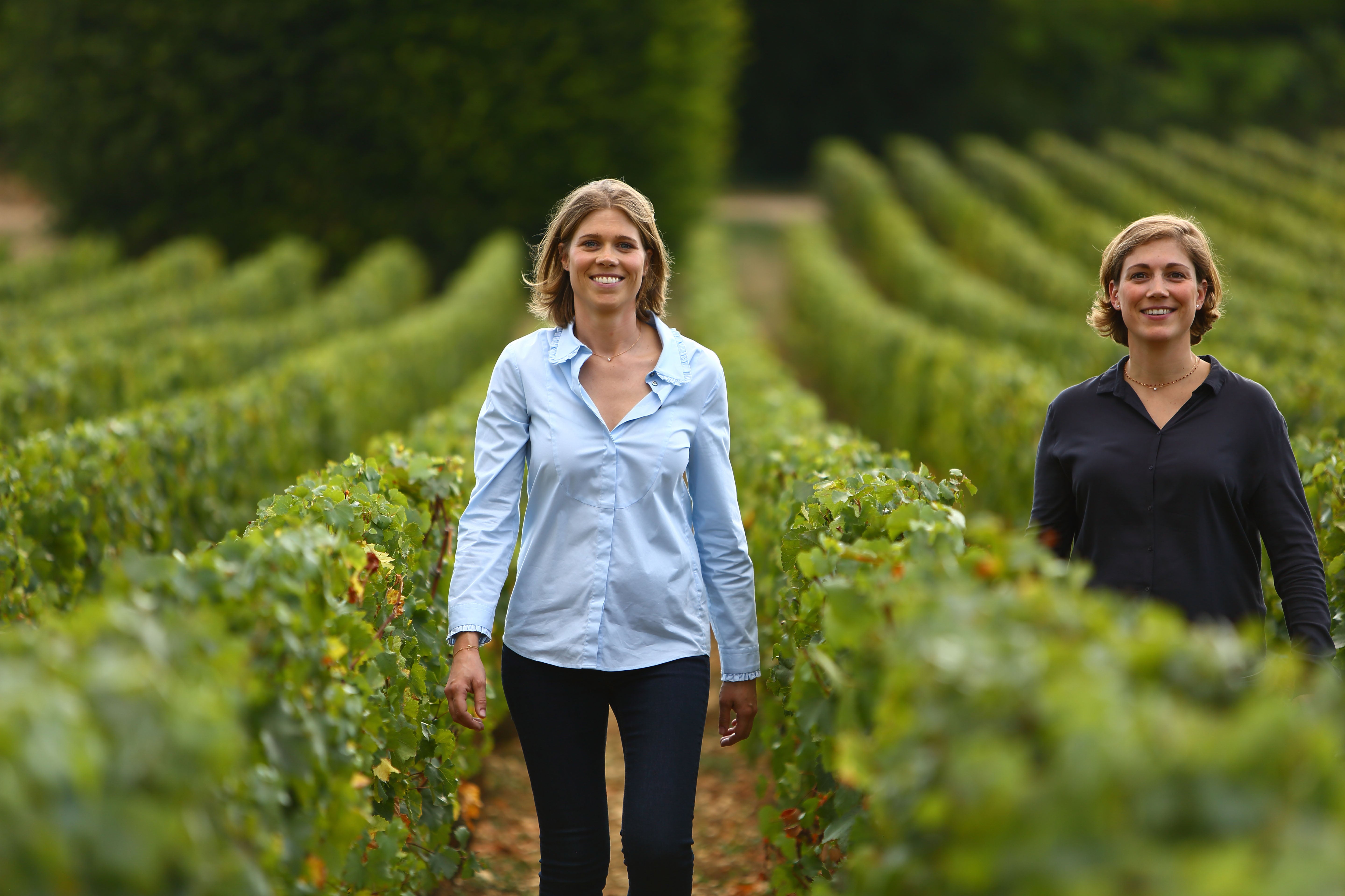 Vineyard Brands Collective