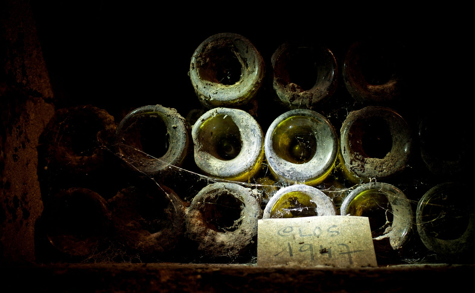 Vineyard Brands Collective