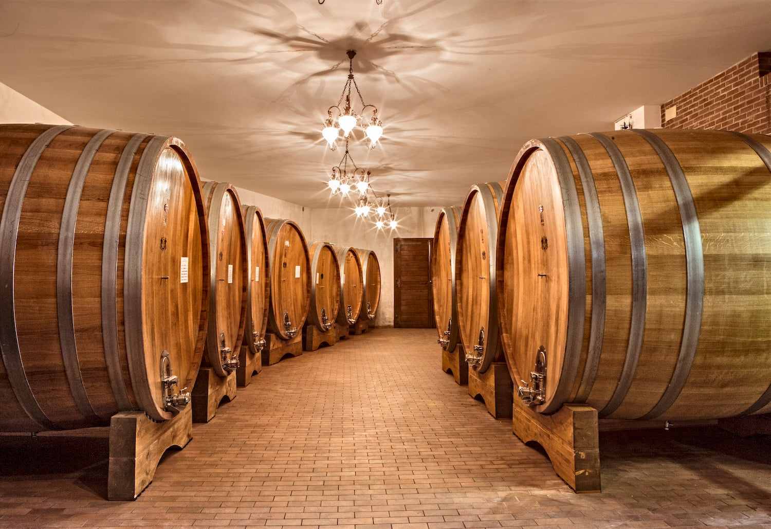 Vineyard Brands Collective