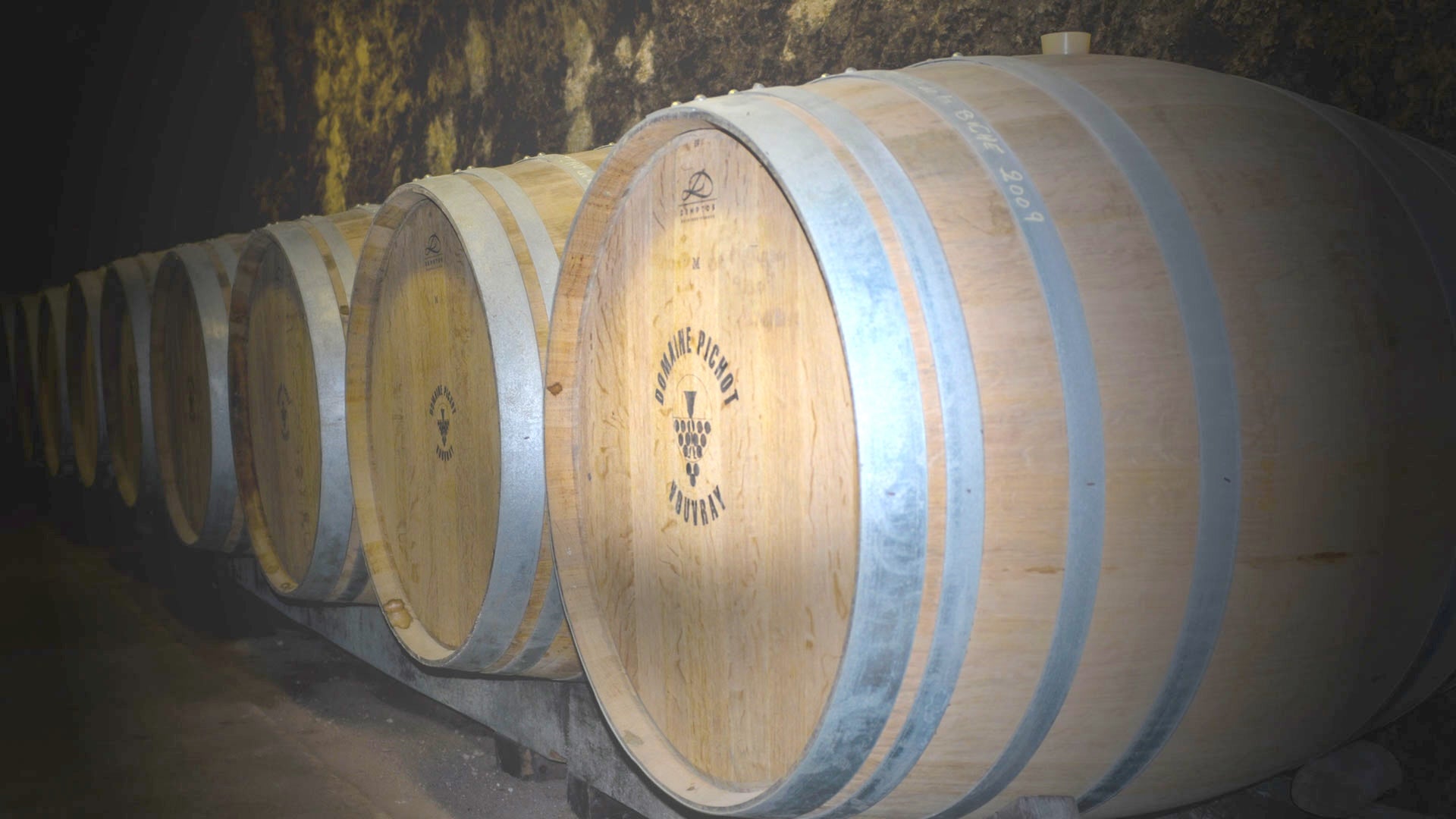 Vineyard Brands Collective