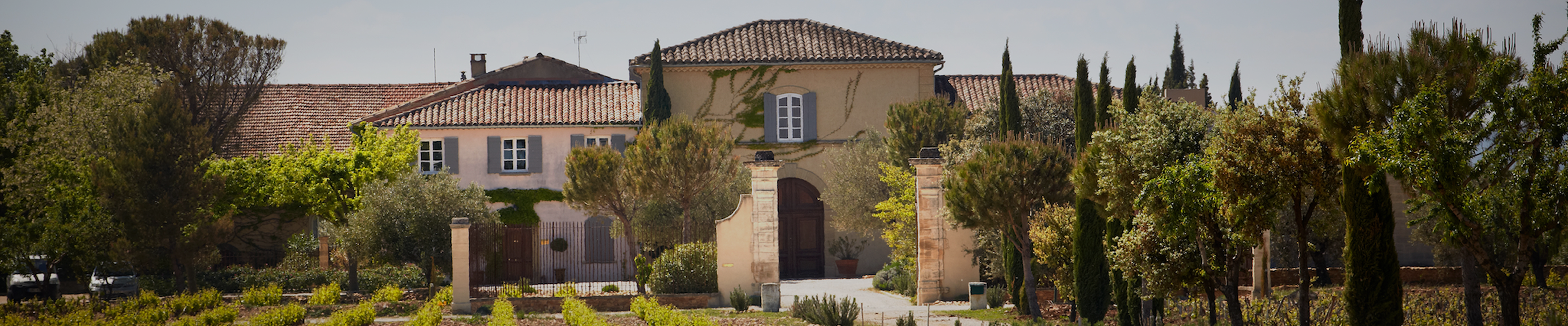 Vineyard Brands Collective