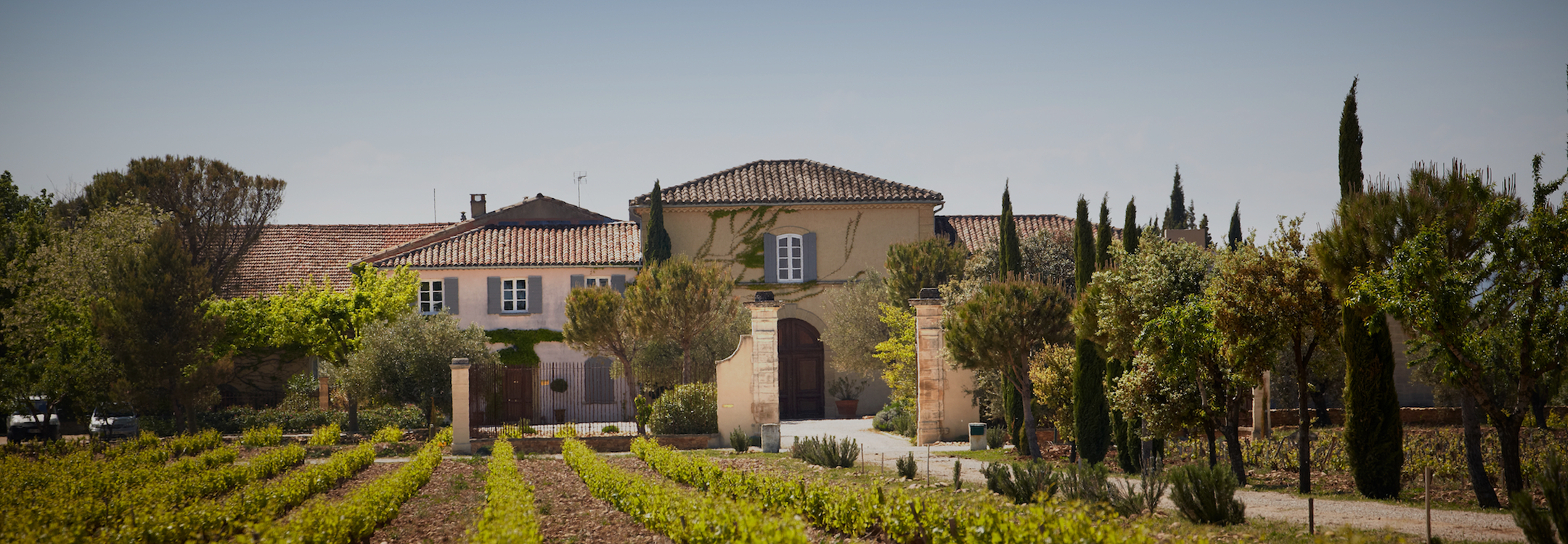 Vineyard Brands Collective