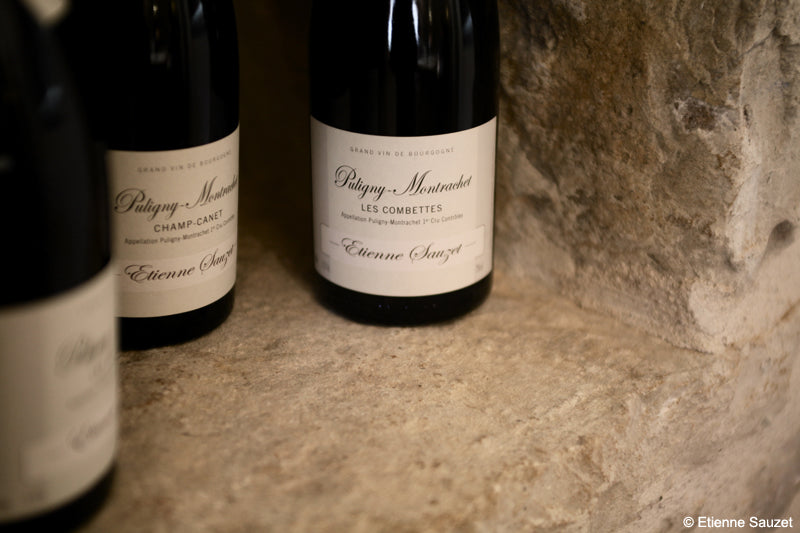 Vineyard Brands Collective