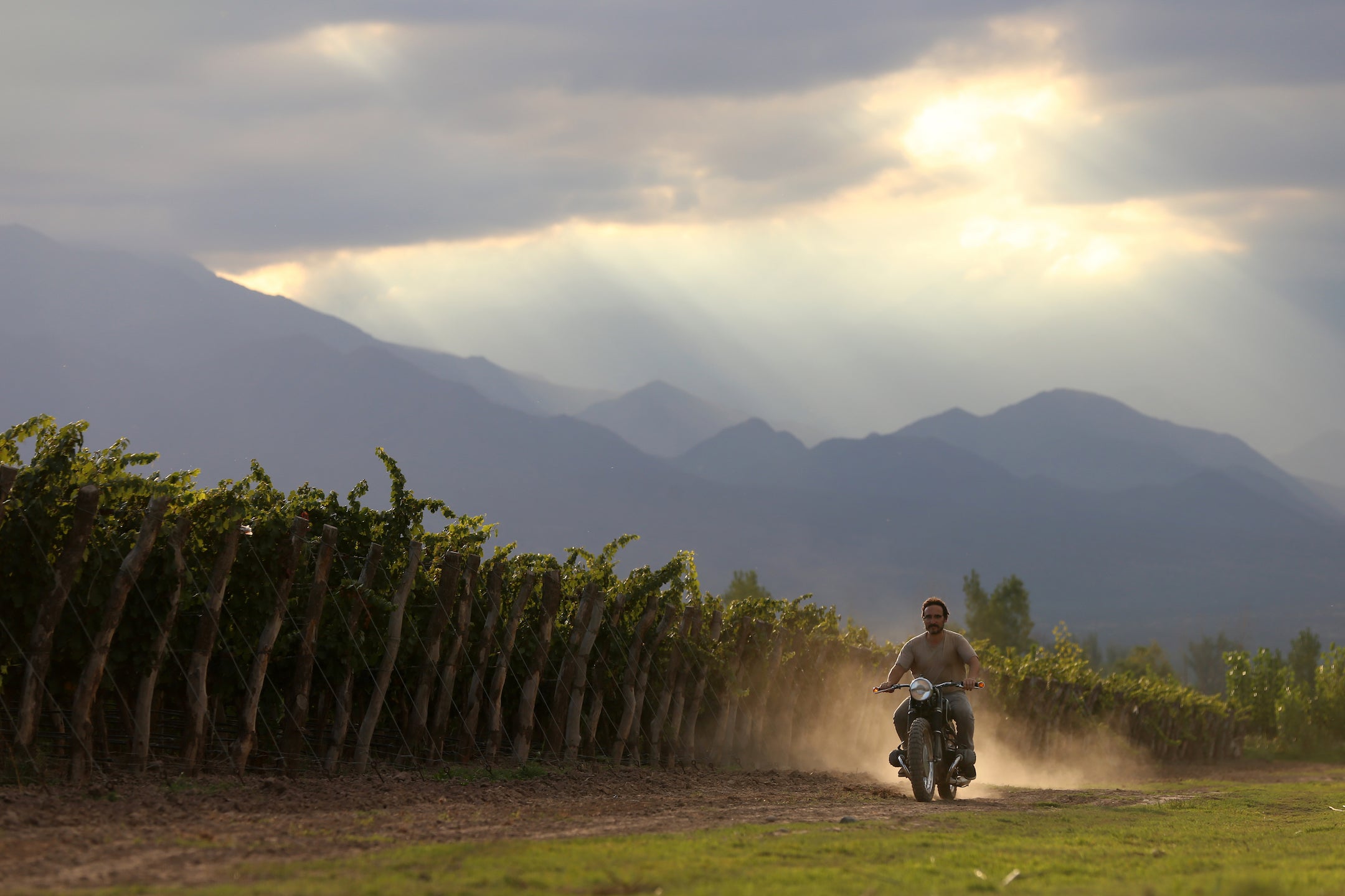 Vineyard Brands Collective