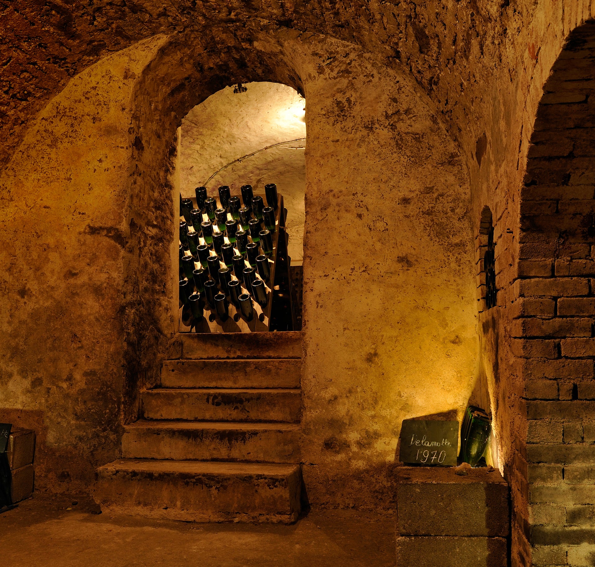 Vineyard Brands Collective