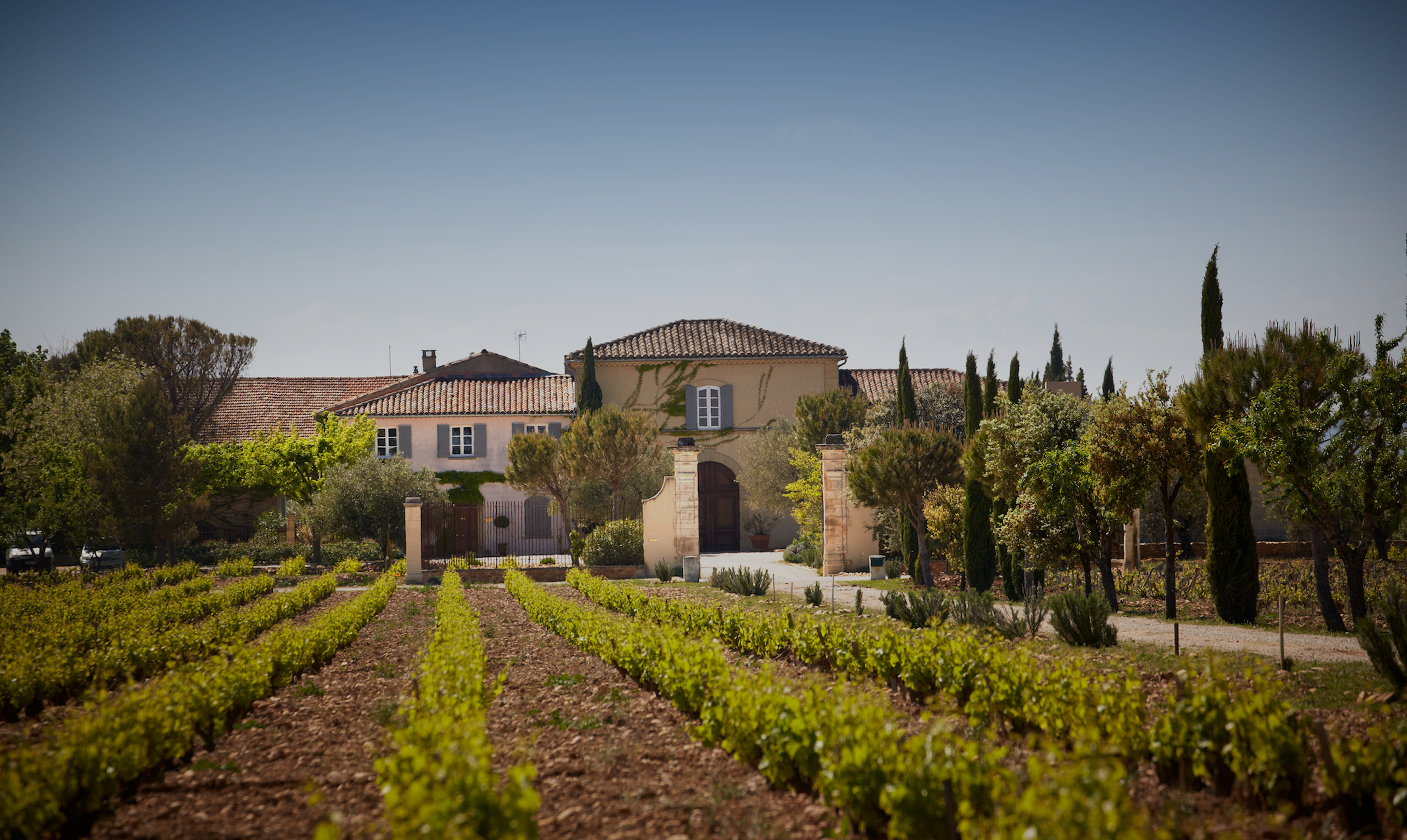 Vineyard Brands Collective