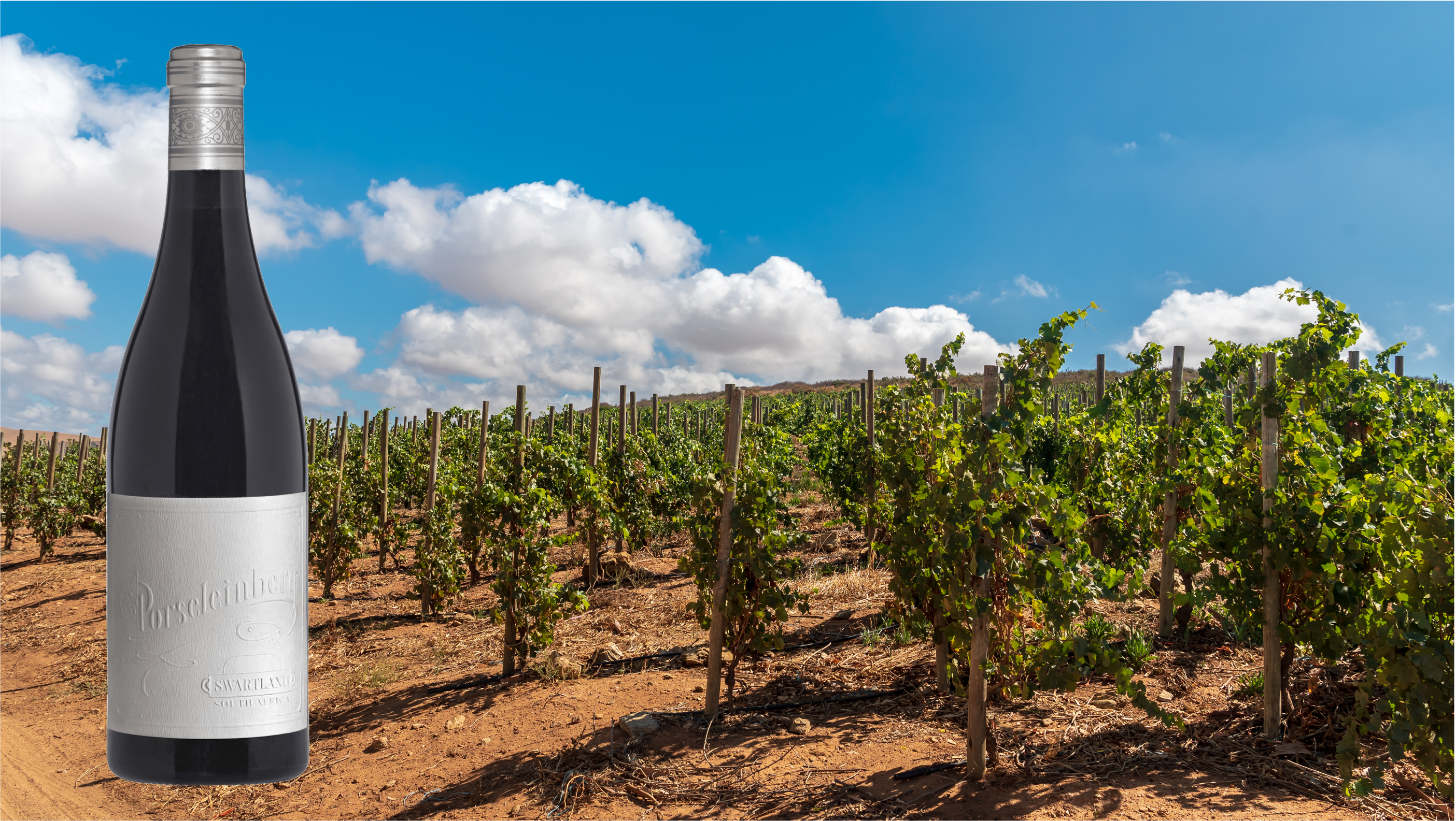 Vineyard Brands Collective